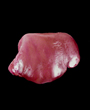 Beef liver ( Halal )